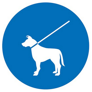 aandelijn