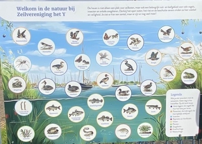 natuur-durgerdam