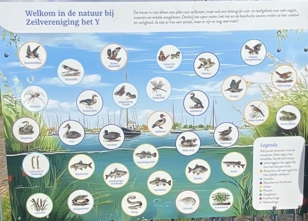 natuur-durgerdam