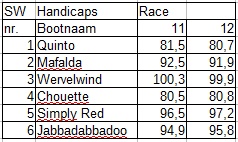 sw-race11-12