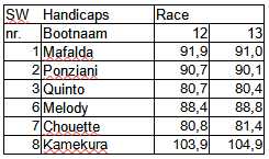 sw-race12-13